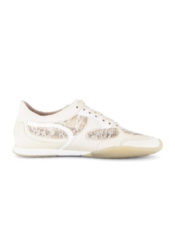 Gabor Sneaker low in gelb