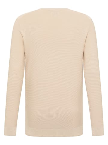 Mustang Sweatshirt in Beige