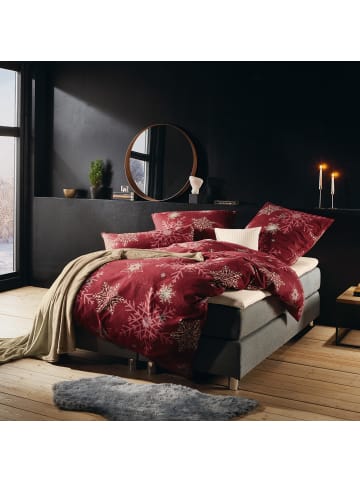 REDBEST Biber Bettwäsche in weinrot