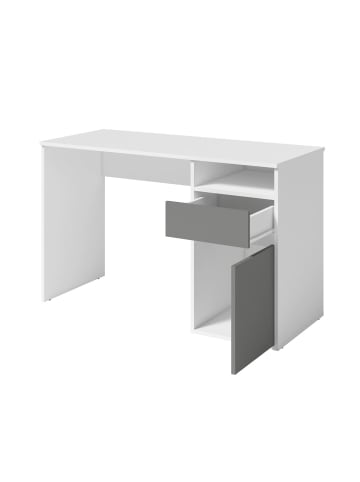 Feldmann-Wohnen Schreibtisch Billa weiß / graphit 120 / 53 / 75,5cm