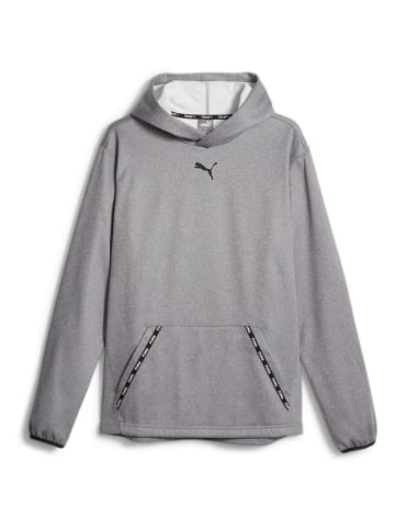 Puma Bodywear Puma Fit Taped PWRFLEECE H in Dunkelgrau035