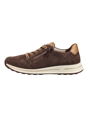 ara Sneaker OSAKA 2.0 in Braun