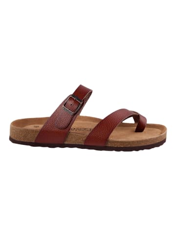 BIOSOFT Sandalen Kai in Braun