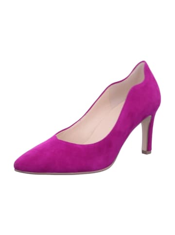 Gabor Damen Pumps in orchid