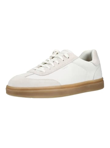 Geox Sneaker in Weiß
