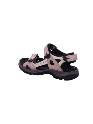 Ecco Sandalette in beige