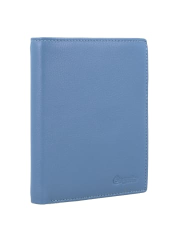 Esquire Viktoria Geldbörse RFID Leder 10 cm taubenblau