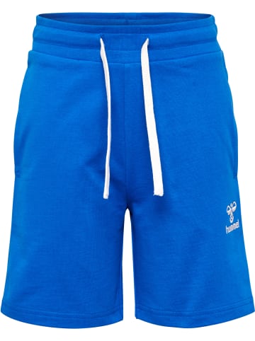 Hummel Shorts Hmlbassim Shorts in NEBULAS BLUE