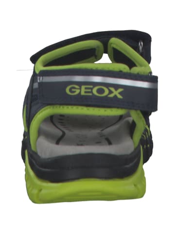 Geox Sandalen in navy/lime