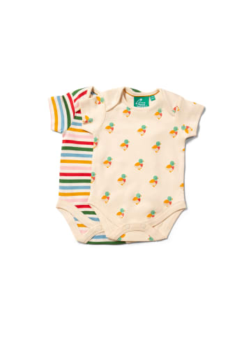 Little Green Radicals Bio-Baby-Bodysuit-Set 2er-Pack in Bunt