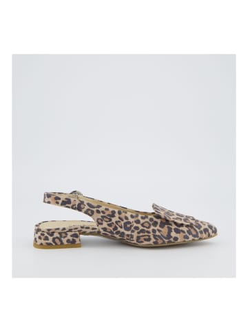 Paul Green Ballerinas in Leopard