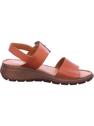 Gemini Sandalette in braun