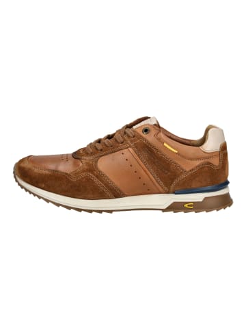 Camel Active Sneaker in Braun
