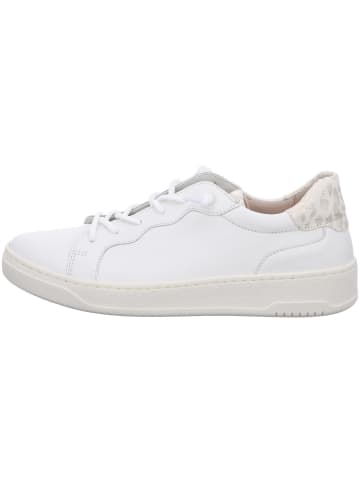 Gabor Slipper in schwarz