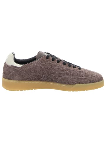 Sun68 Sneaker Low in braun