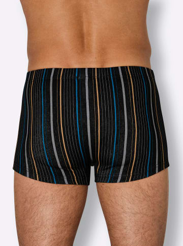 WITT WEIDEN Pants in schwarz + schwarz-gestreift