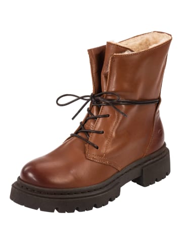 palado Schnürstiefeletten in Brown/Brown