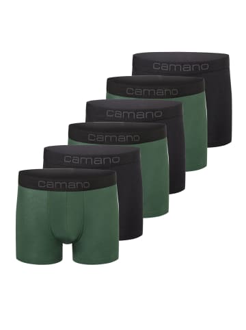 camano Boxershorts Unterhosen Herren elastischer Gummibund ohne Einschneiden Baumwolle Stretch hautfreundlich Atmungsaktiv 6er Pack comfort in sycamore green