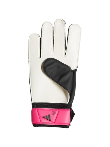 adidas Performance Torwarthandschuh Predator Training in schwarz / pink