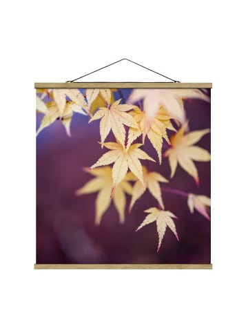 WALLART Stoffbild mit Posterleisten - Herbstlicher Ahorn in Violett