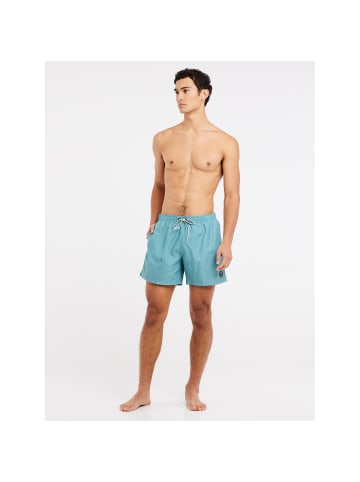 Protest M PRTKOSHI BEACHSHORT in Grün