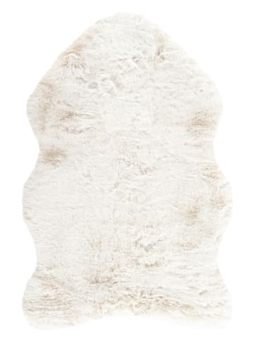 Vivorum Vivorum Neu 2026 Wohnzimmer Hochflor Teppich Boundless 226 weiß in weiß