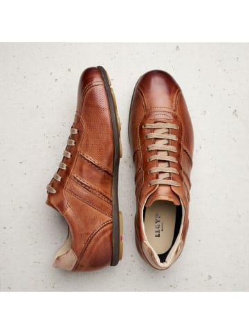 LLOYD Sneaker für Herren in braun