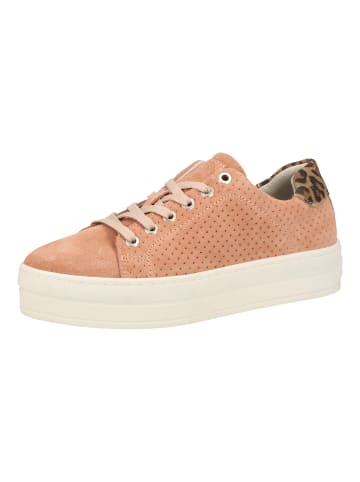 Bullboxer Sneaker in Rosa