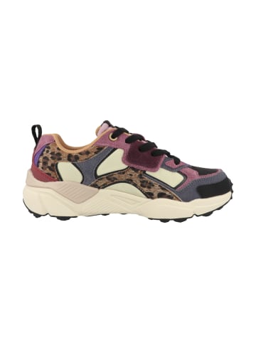 COLMAR Sneaker low Garner Jungle in multicolor