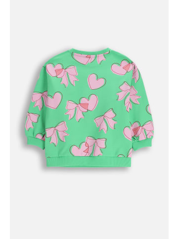 Coccodrillo Baumwoll-Sweatshirt in grün