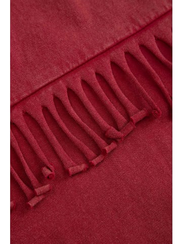 Coccodrillo Baumwoll-t-shirt mit kurzen Ärmeln in dunkelrot