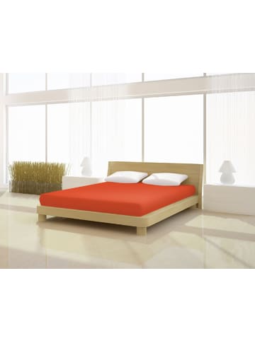 Mr.Sandman Spannbetttuch Elastan classic 180-200 x 200-220 cm in kamin