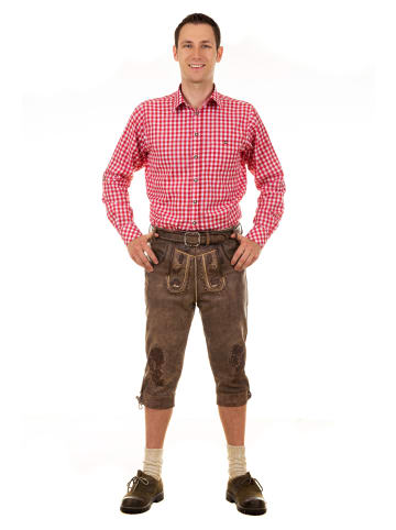 Edelnice Trachtenlederhose Kniebundhose Thomas in braun