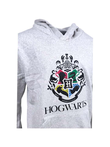 Harry Potter Hoodie Harry Potter in Grau