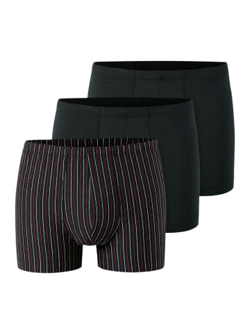 Schiesser Retro Short / Pant 95/5 Essentials in Schwarz