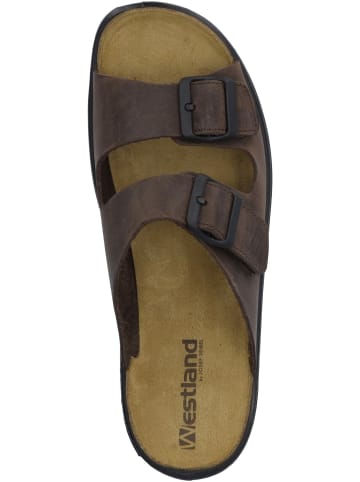 WESTLAND Pantoletten für Herren in mocca