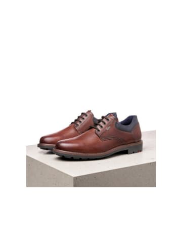 LLOYD Sneaker in braun
