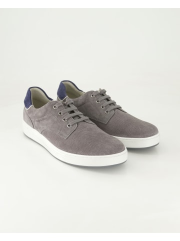 Pius Gabor Sneaker low in Grau