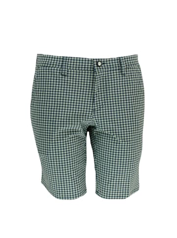 ALBERTO Shorts Earnie Revolutional Check WR in Check