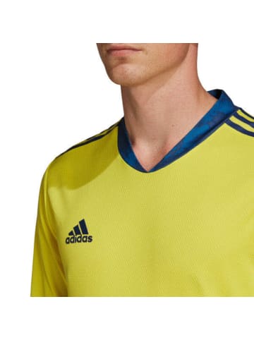 adidas Torwarttrikot Adipro 20 in Gelb