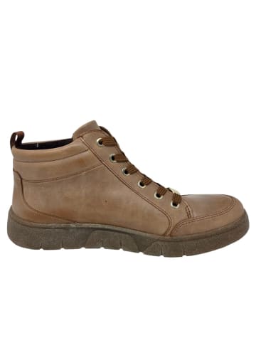 ara Schnürstiefelette Rom Sport  in Braun