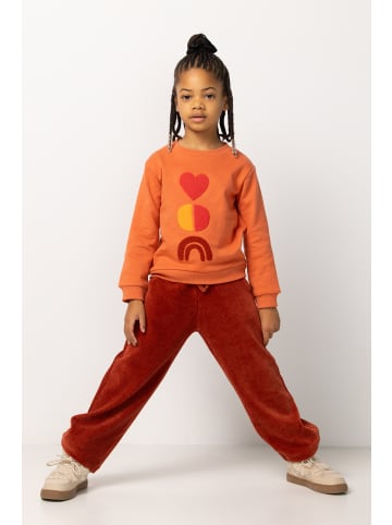 Noppies Sweater Potterville in Apricot Brandy