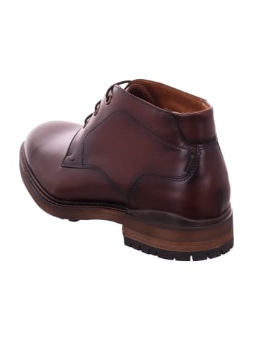 LLOYD Schnürstiefeletten in Braun