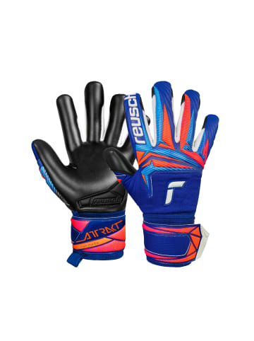 Reusch Torwarthandschuhe Attrakt Infinity Evo NC in 4127 sharp blu/shock orng/blck