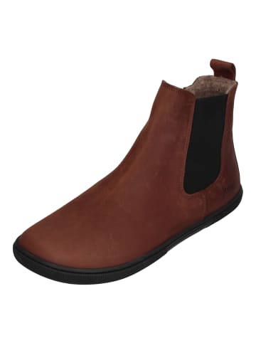 KOEL Chelsea Boots FILAS HYDRO FELT 08L009.233-510 in braun