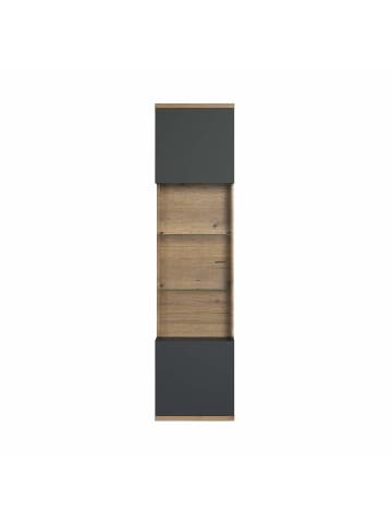 ebuy24 Vitrinenschrank Norris Grau 51 x 37 cm