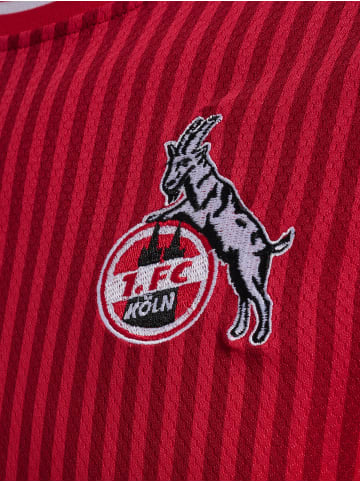 Hummel Trikot S/S 1Fck 23/24 Away Jersey S/S in TRUE RED