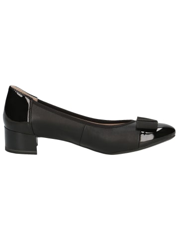 Caprice Pumps in BLACK COMB