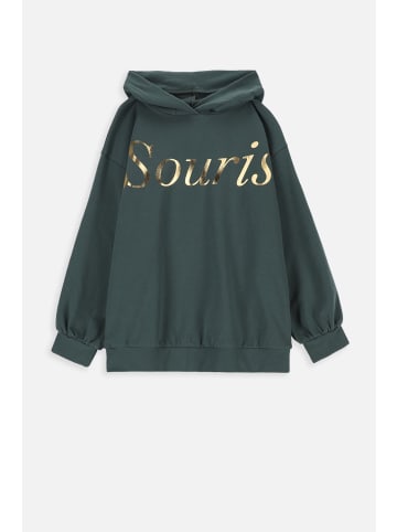Coccodrillo Sweatshirt in grün
