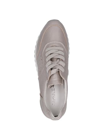 Caprice Sneaker in STONE DEER PER